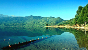 rara_shore